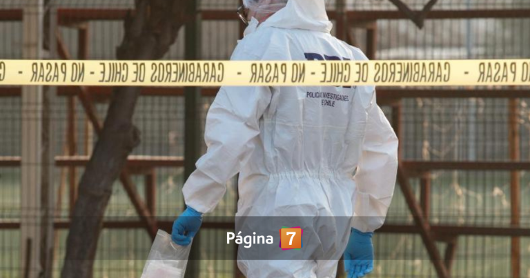 Encuentran sin vida a padre e hijo en Chiloé: tenían avanzado estado de descomposición