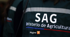 Ministerio de Agricultura solicitó renuncia del director del SAG, José Guajardo Reyes