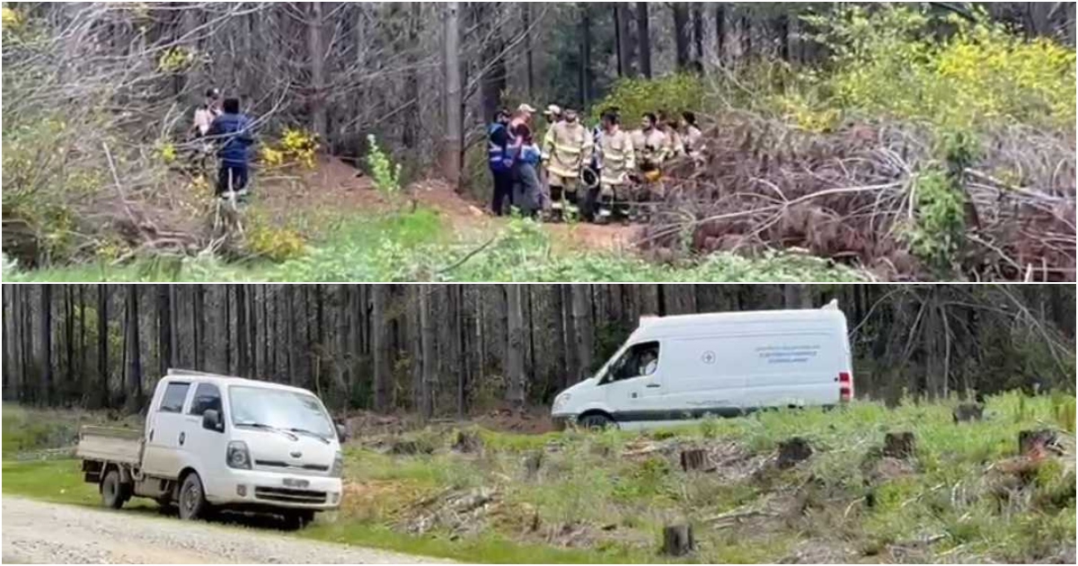 Encuentran a adulto mayor desaparecido hace 4 días en Curanilahue: murió minutos después