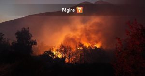 Alerta roja para Monte Patria por incendio forestal: informan “velocidad de propagación extrema”