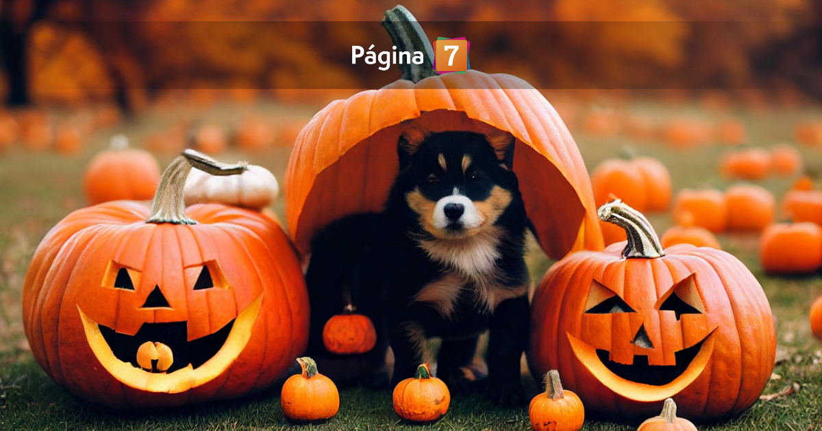 Precauciones con las mascotas y los dulces en Halloween