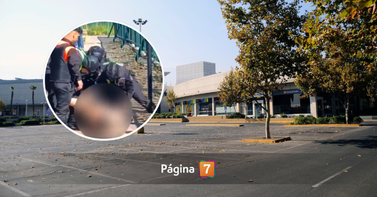 Testigos revelan duros detalles sobre la muerte de joven con esquizofrenia en mall de La Florida