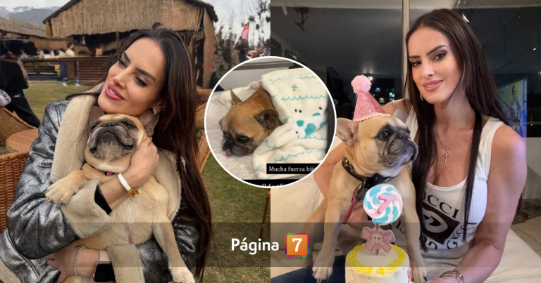 Adriana Barrientos confirmó la muerte de su querida perrita Asia tras complejas horas de lucha