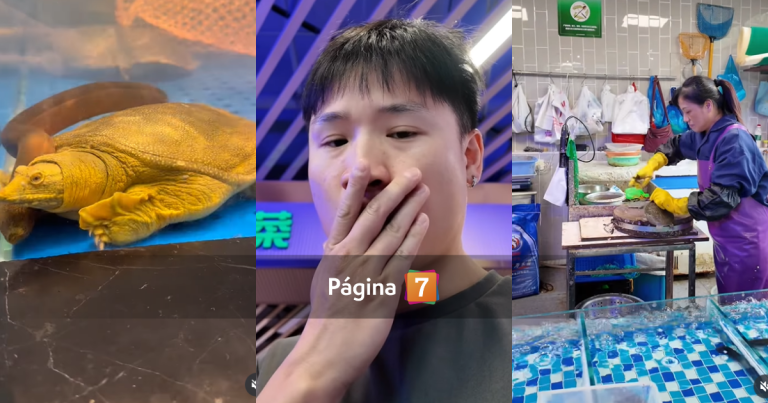 Yuhui enciende la polémica con video en el que matan a una tortuga: 