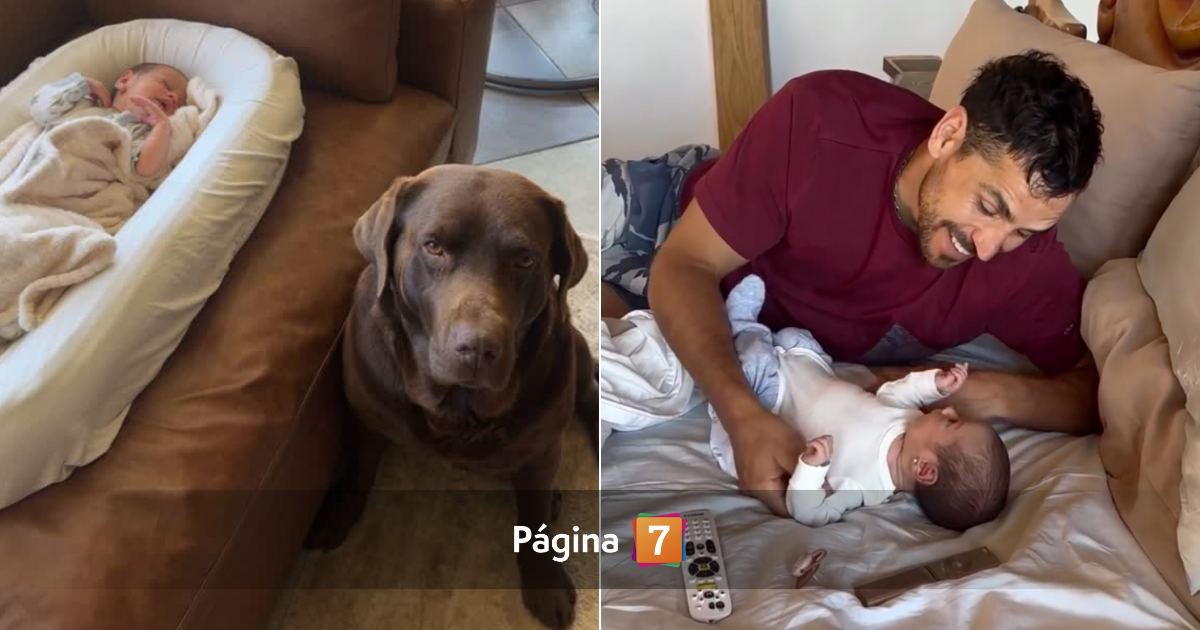 Pangal muestra como Bagual cuida a su hija Alanna