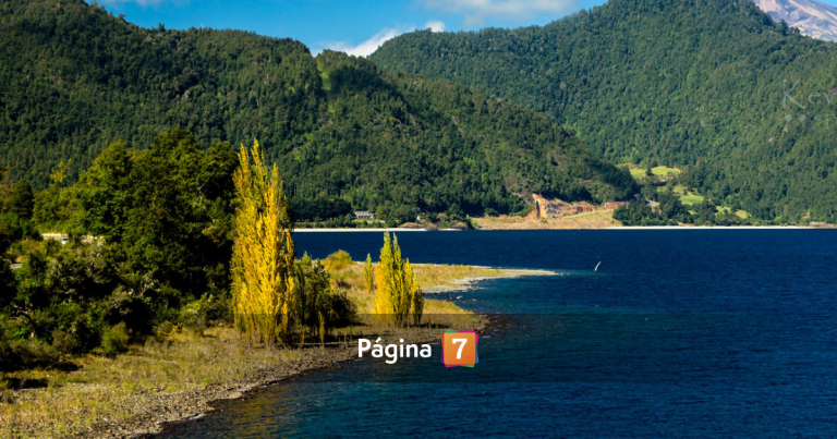 Tras más de una semana: encuentran cuerpo de pescador desaparecido en Panguipulli