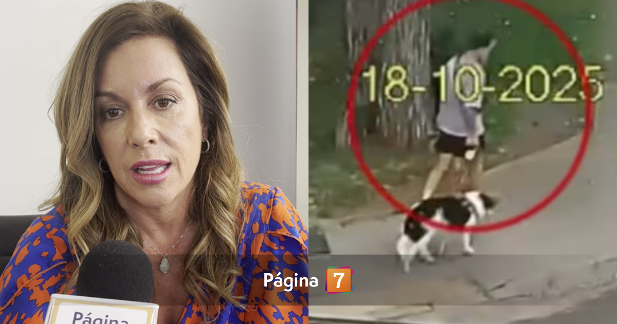 Aseguran que Yuyuniz Navas es parte clave en el caso Cruz Coke: su testimonio es “fundamental”