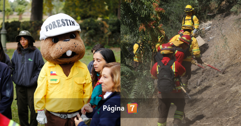 En medio de tragedia y temporada de incendios: Conaf dejará de existir como la conocemos