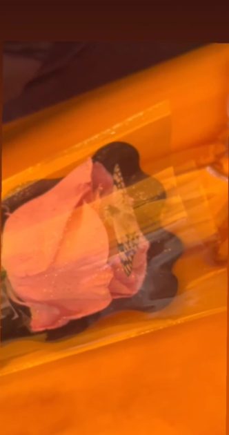 La emotiva despedida de Krishna Aguilera: hermana compartió un conmovedor registro durante velorio