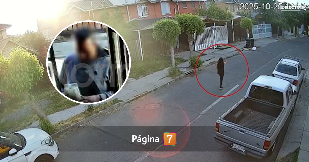 Chileno y con antecedentes policiales: quién es el único detenido por la muerte de Valentina Alarcón