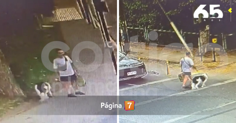 Cámara captó a detenido por triple homicidio en La Reina después del crimen: botó bolsa en canal