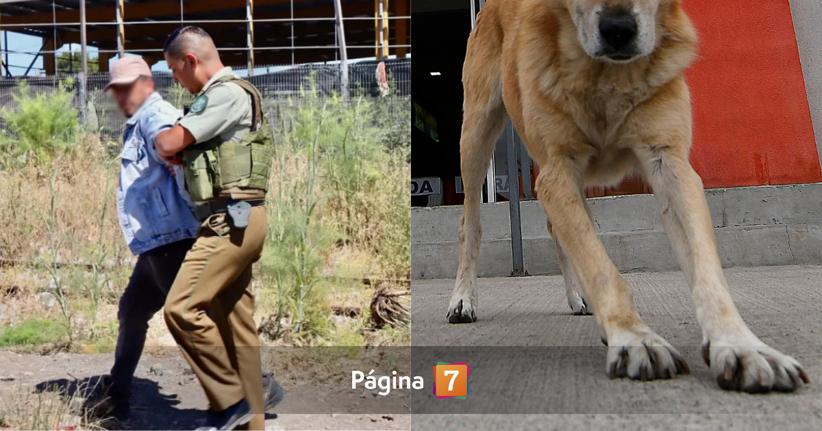 Detienen a sujeto por abusar de perro en Coronel