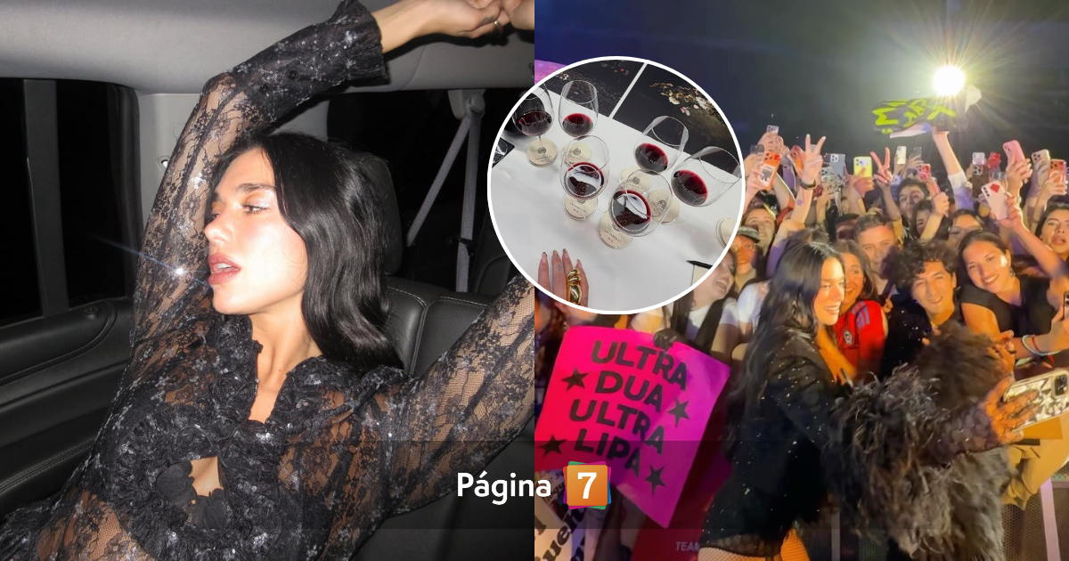 Con brebaje de una exclusiva viña: así fueron los últimos días de Dua Lipa en Chile