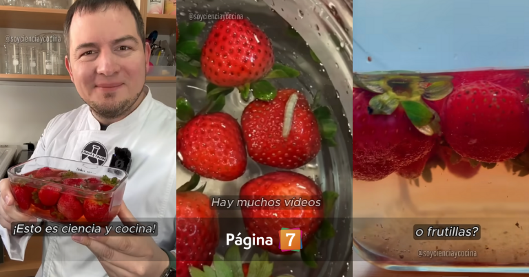 ¿Miedo a los “gusanos” en las frutillas?: chef puso a prueba truco viral para lavarlas y sorprendió