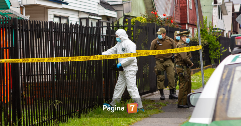 Homicidio en Ñuñoa: mujer presuntamente asesinada por su sobrino se iba a hacer cargo de él