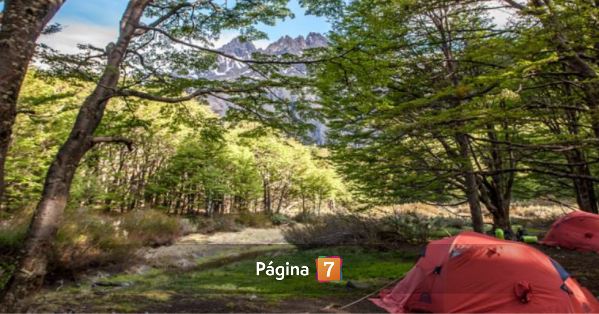Los Perros en Las Torres del Paine