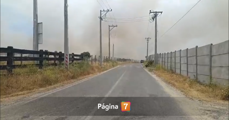 Senapred ordena evacuar sectores de Limache por incendio forestal que ya consume varias hectáreas