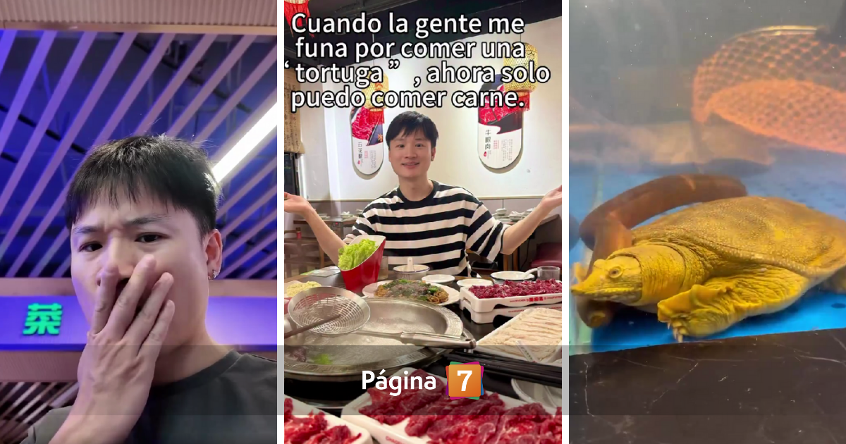 Yuhui tras polémica por video donde matan y cocinan una tortuga: "Aprovechan de decirme cosas feas"