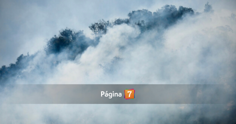 Alerta Roja en Machalí: incendio forestal está cercano a reserva nacional