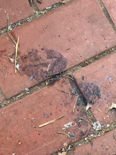 Abogado de Jorge Ugalde puso en duda investigación en caso Cruz Coke: "La Fiscalía ignora pistas"