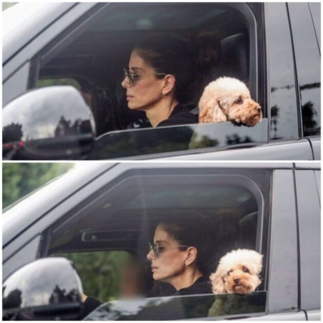 Sandra Bullock reaparece tras 11 meses alejada de la vida pública: así enfrenta su duelo