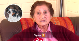 Adulta mayor presentó acción legal por ladridos del perro de su vecina: "Me produce trastornos"