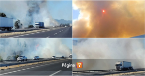 Declaran alerta roja para comuna de Pichilemu por incendio forestal: casi 63 mil clientes sin luz