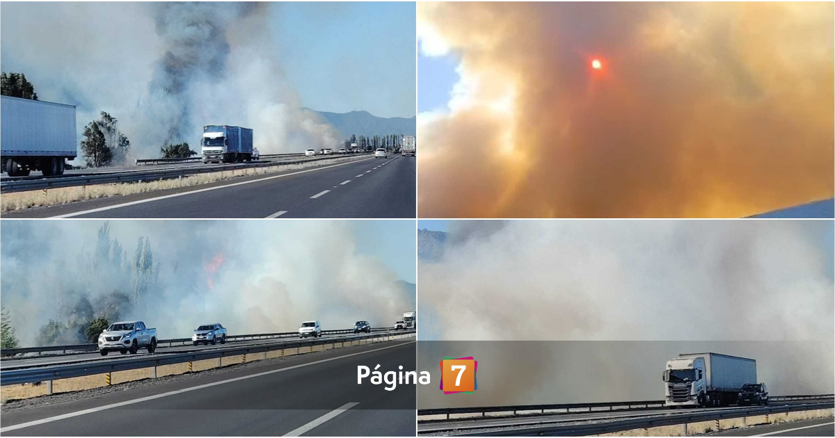 Declaran alerta roja para comuna de Pichilemu por incendio forestal: casi 63 mil clientes sin luz