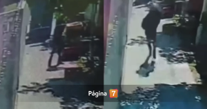 Lo que se sabe de la balacera en feria libre de La Florida que dejó dos muertos y una mujer herida