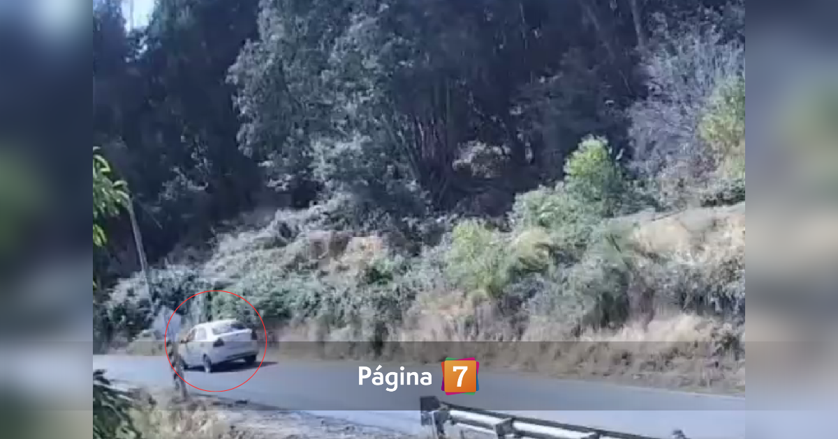 Graban a bombero que habría arrojado elemento incendiario en pastizales de La Cruz