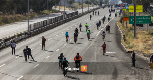 Caballo muere en plena ruta de peregrinación a Lo Vásquez
