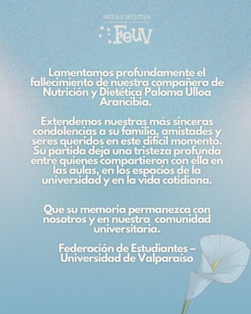 Comunicado de la Universidad de Valparaíso por atropello fatal de joven universitaria