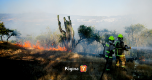 Detienen a hombre por incendio en Pichidegua: saltaron chispas de orilladora mientras desmalezaba.