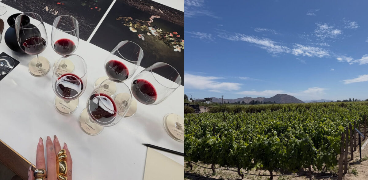 Con brebaje de una exclusiva viña: así fueron los últimos días de Dua Lipa en Chile