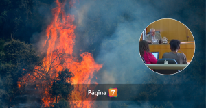 Hombre detenido por incendio en Maule quedó en libertad: "Al primero que ven lo acusan".