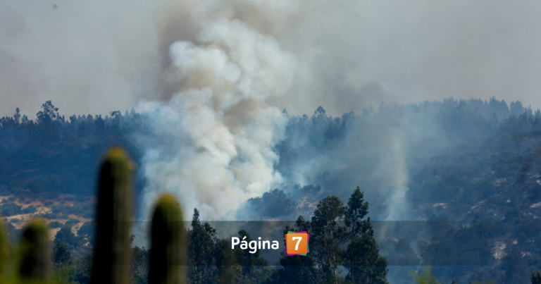 Continúa alerta por incendios en Maule: tres viviendas afectadas y más de mil hectáreas consumidas