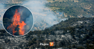 Detienen a hombre acusado de iniciar incendio forestal en San Pedro: así se habría originado