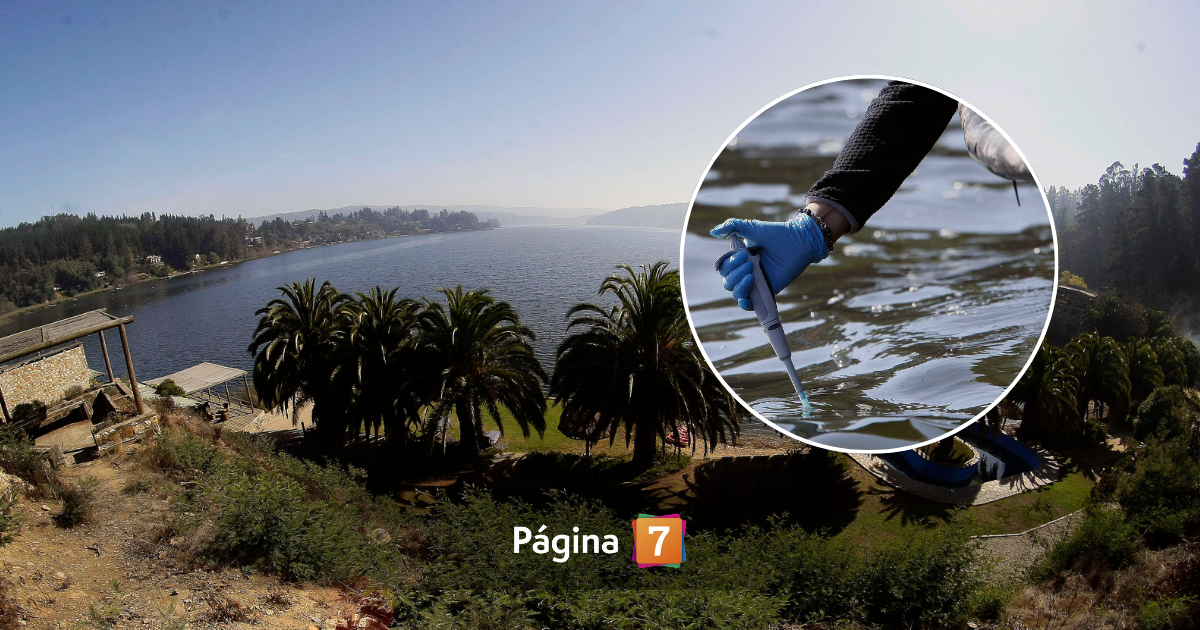 lago vichuquén bacteria riesgos de salud