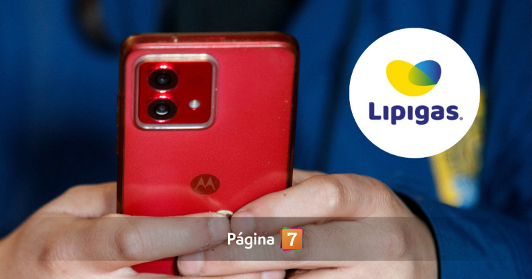 Lipigas ingresa denuncia por sabotaje informático tras polémico llamado a votar por Kast