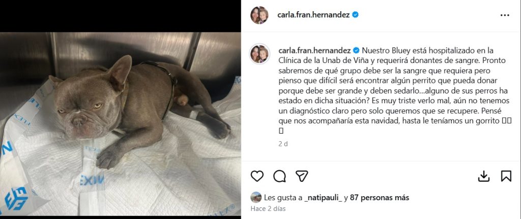 El nuevo y duro golpe personal a Carla Hernández, nieta de María Elcira Contreras
