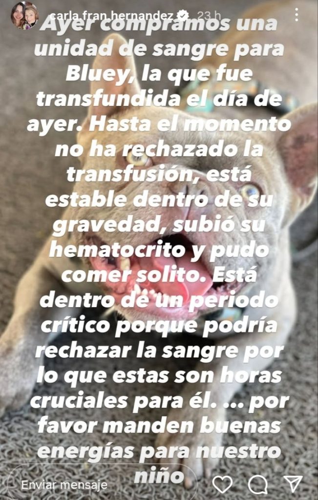 Nieta de María Elcira Contreras actualizó estado de salud de su perrito Bluey