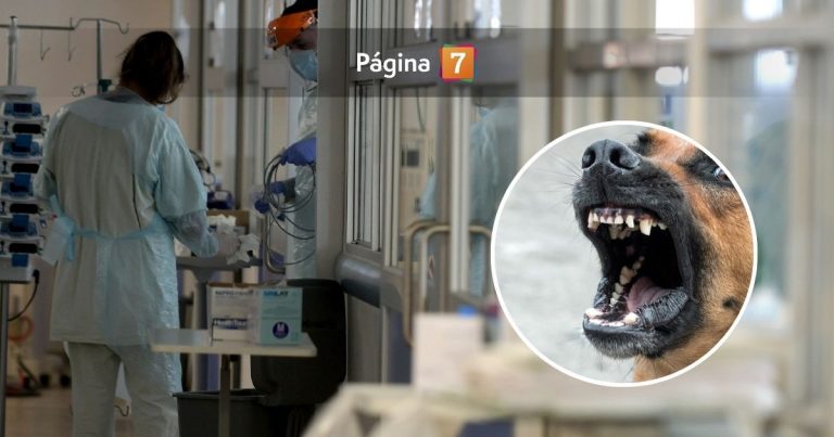 Revelan crudos detalles del caso de niña que lucha por su vida tras ataque de perros de un familiar