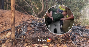 Escondido entre matorrales los objetos que portaba el único detenido por los incendios en el Biobío