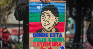 Fiscalía duda de la existencia de perro ‘Cholito’ en caso de Julia Chuñil