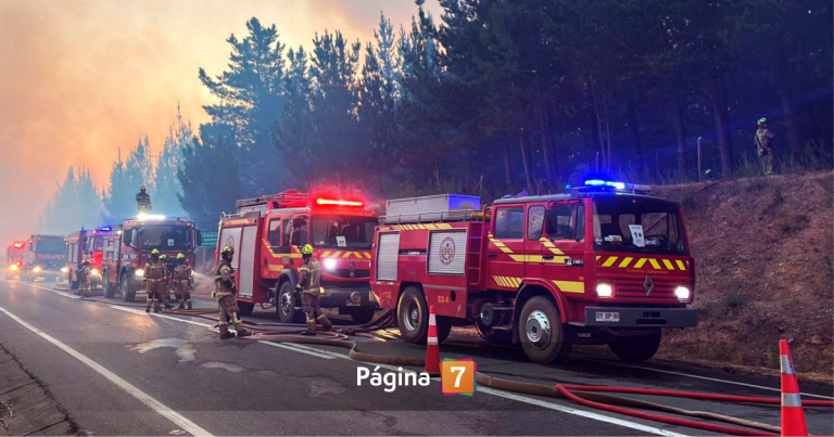 Incendio en Biobío: el riesgo catastrófico alertado un año antes que nadie logró frenar