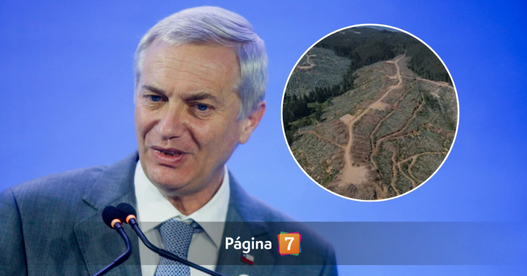 Kast descartó vínculo entre minera Aclara y megaincendio en el Biobío: 