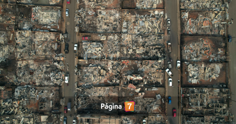 Punta de Parra se levanta tras el incendio: vecinos reconstruyen sin esperar al Gobierno