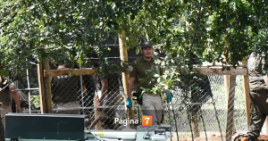 Golpean a adulto mayor que fue víctima de robo por parte del hijo de Julia Chuñil en 2024