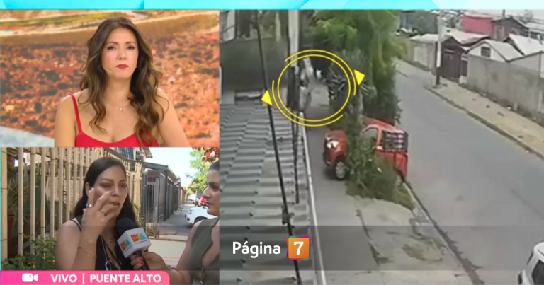 Agresión a adulta mayor y su hija en Puente Alto: vecino reaccionó por robo de una hoja de aloe vera