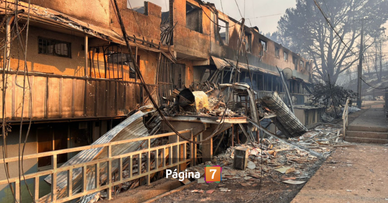 Minsal decreta Alerta Sanitaria en Ñuble y Biobío por incendios forestales